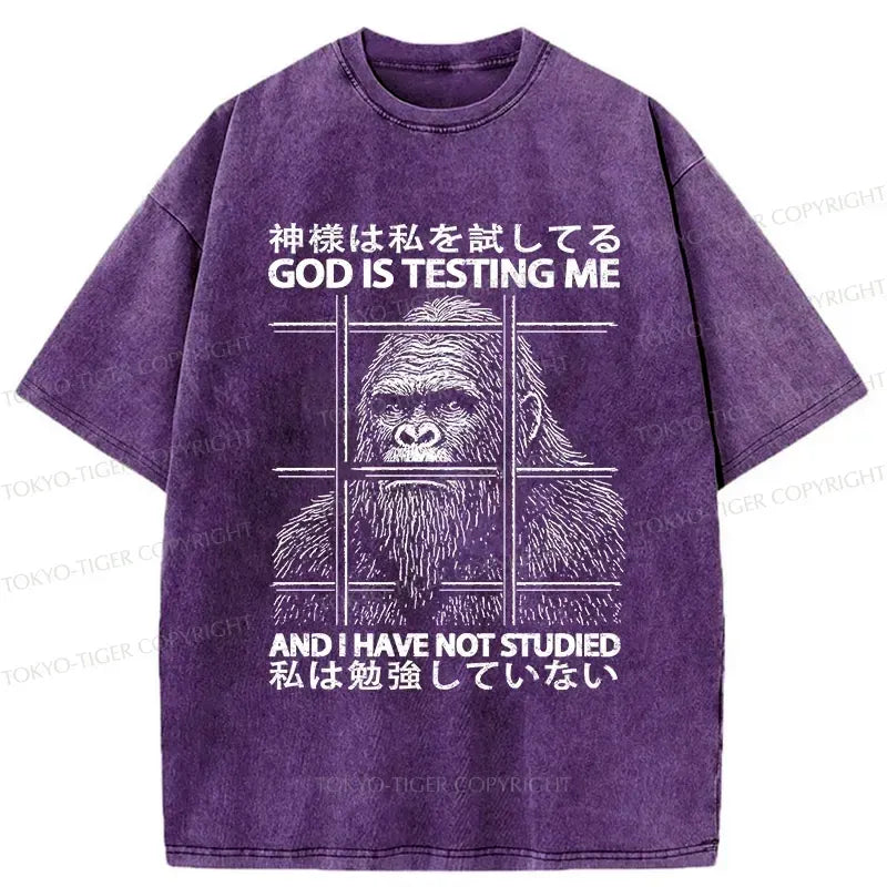 Funny Japanese T-Shirt for Daily Wear