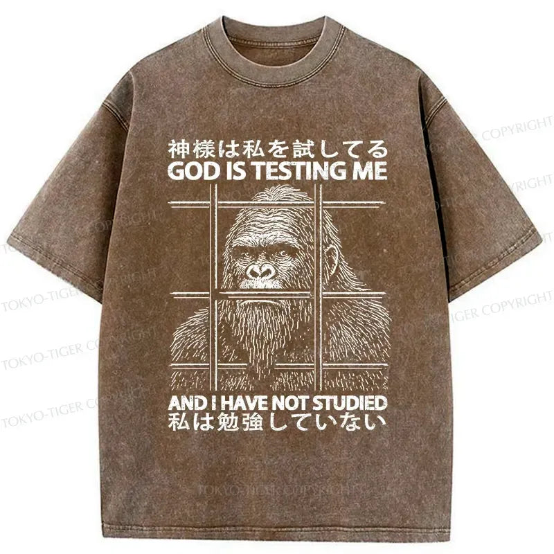 Kyoto-Lion Funny God Is Testing Me Washed T-Shirt