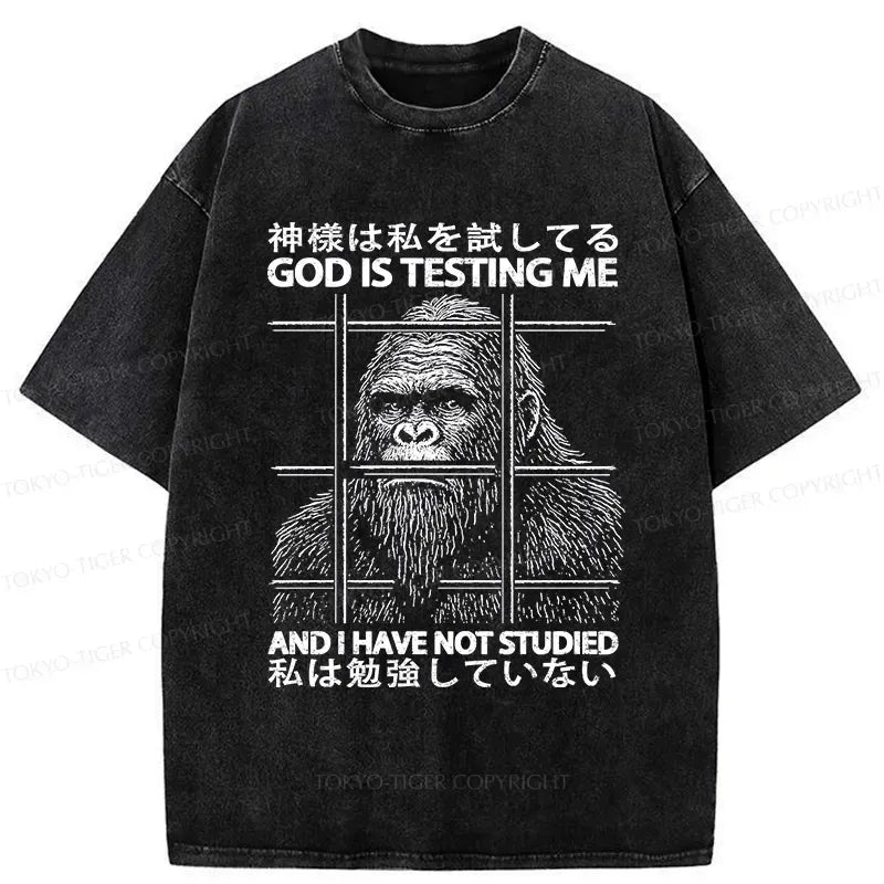 Kyoto-Lion Funny God Is Testing Me Washed T-Shirt