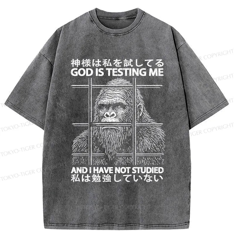 Kyoto Lion God Testing Me Shirt