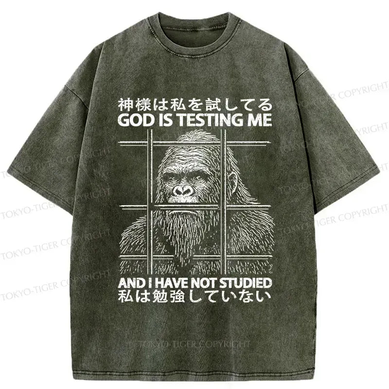 Kyoto Lion God Testing Me Shirt