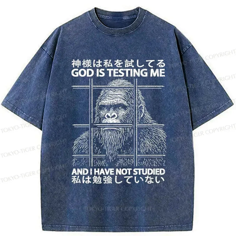 Funny Japanese T-Shirt for Daily Wear