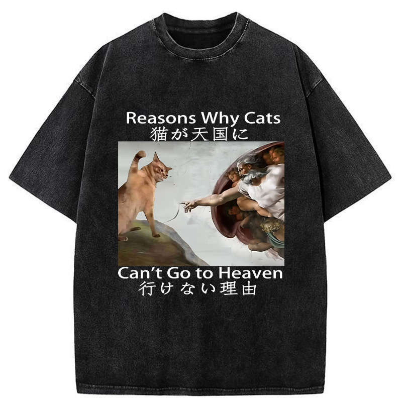 Japanese vintage cat t-shirt for daily wear