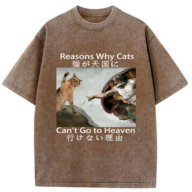 naughty cat can't go to heaven washed tee