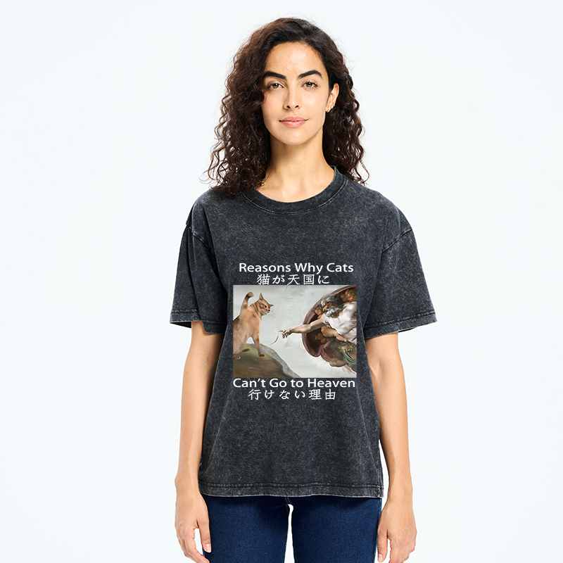 Japanese vintage cat t-shirt for daily wear