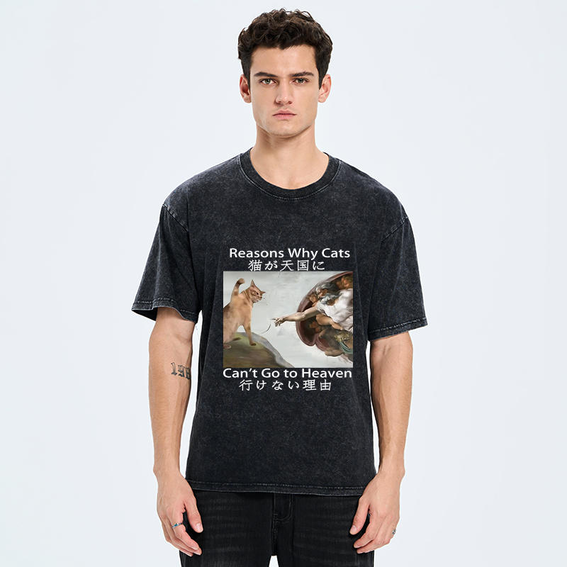 Japanese vintage cat t-shirt for daily wear