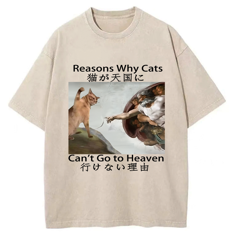 naughty cat can't go to heaven washed tee
