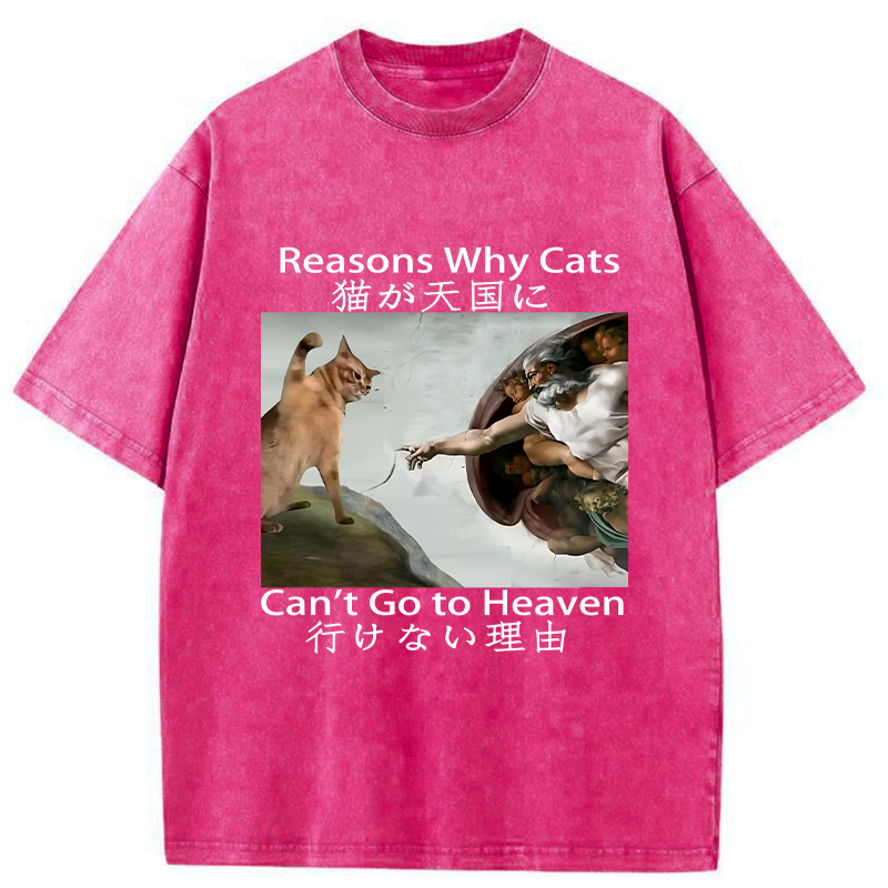 Japanese vintage cat t-shirt for daily wear