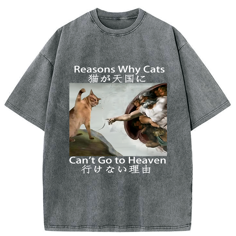 naughty cat can't go to heaven washed tee