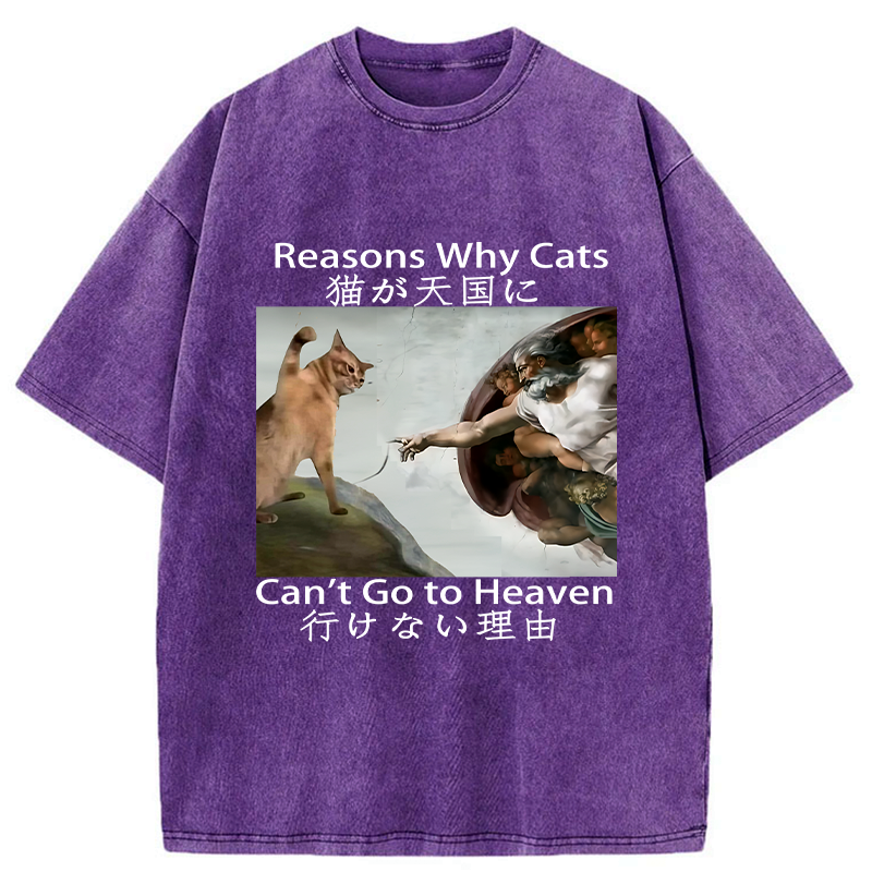 naughty cat can't go to heaven washed tee