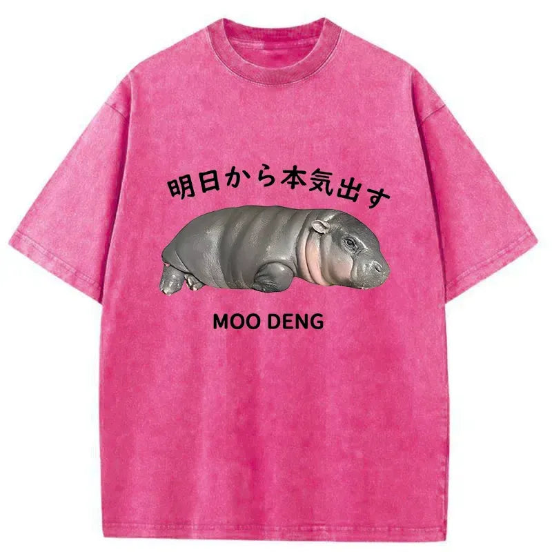 kyoto lion japanese vintage tee for summer