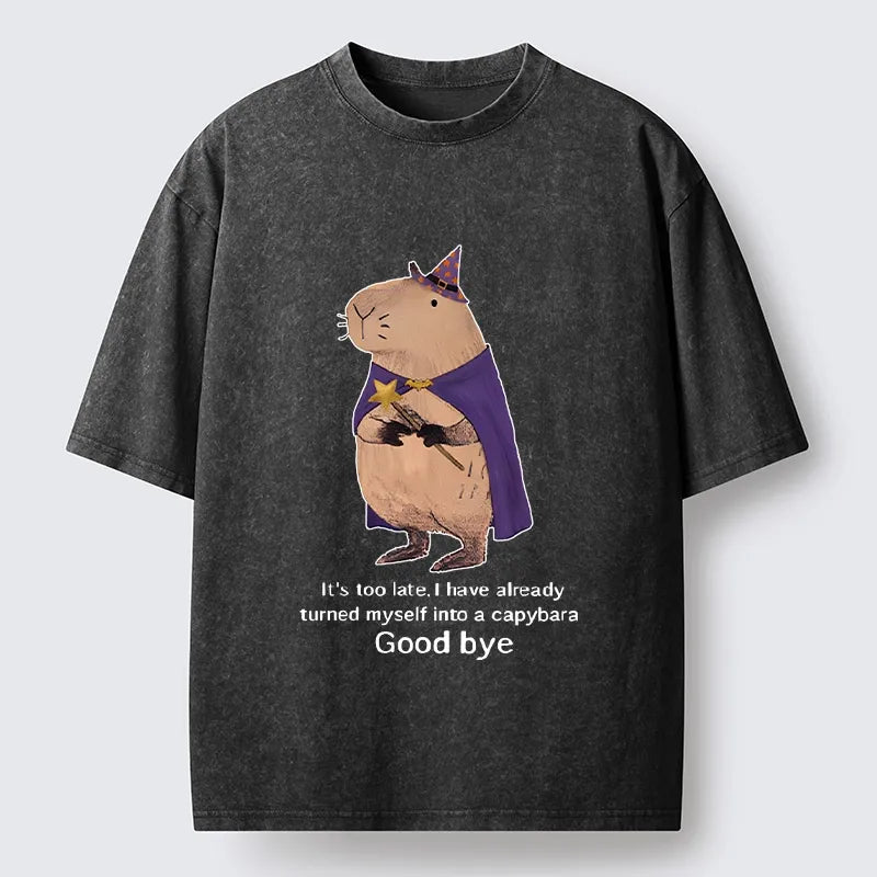 Kyoto-Lion Funny Wizard Capybara Washed T-Shirt