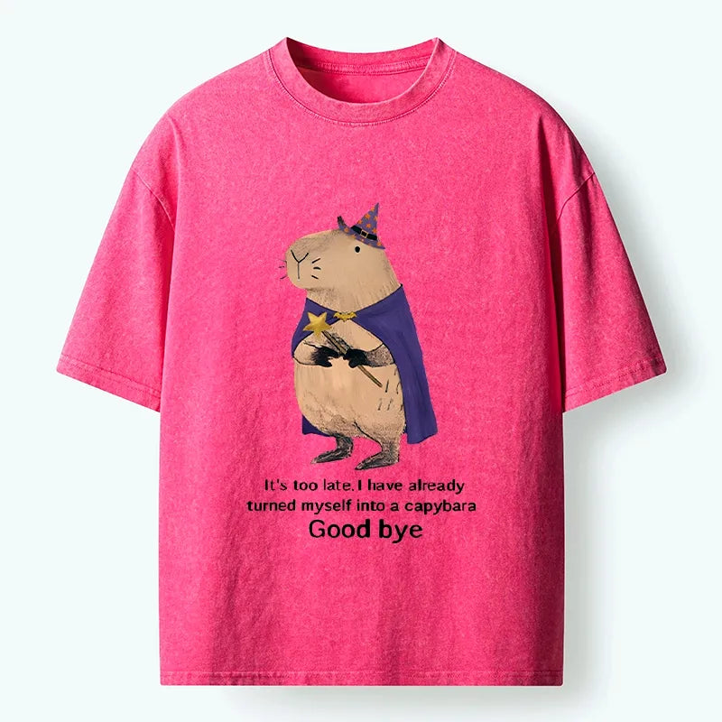 Kyoto-Lion Funny Wizard Capybara Washed T-Shirt