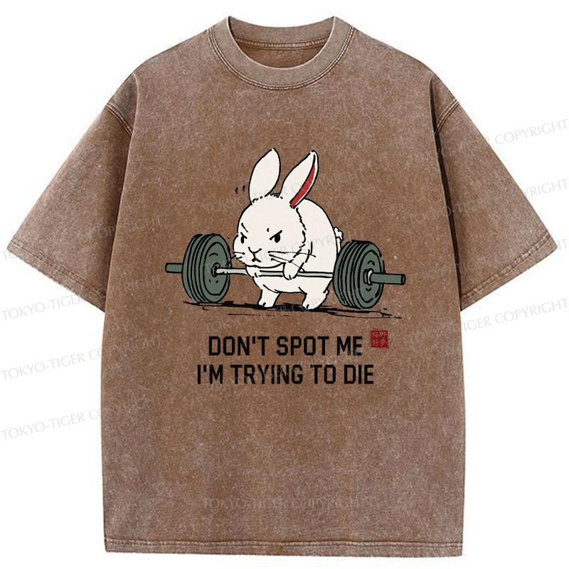 Kyoto Lion Rabbit Gym T-Shirt