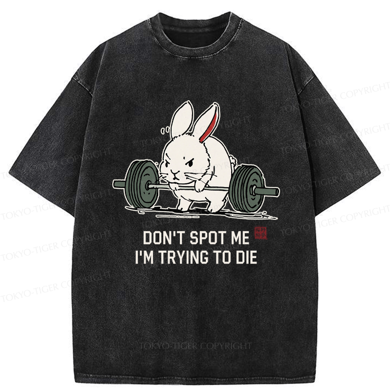 Kyoto Lion Rabbit Gym T-Shirt