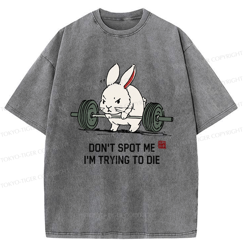 Japanese Rabbit Washed T-Shirt