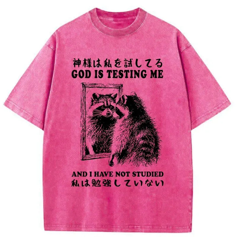 Raccoon Washed Japanese T-Shirt for Summer