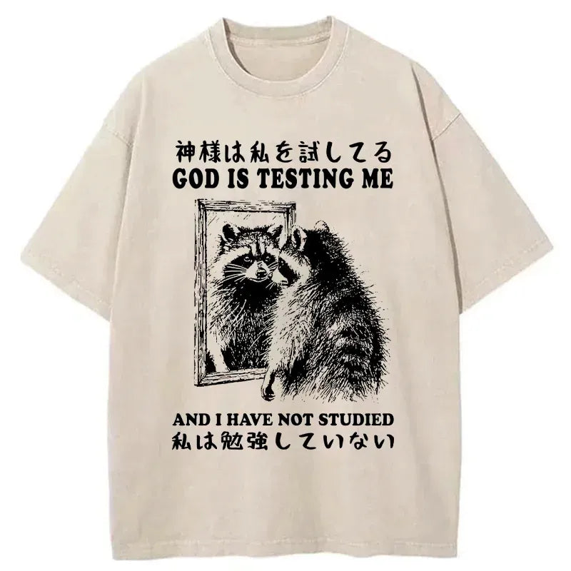 Kyoto-Lion Raccoon Not Studied Washed T-Shirt