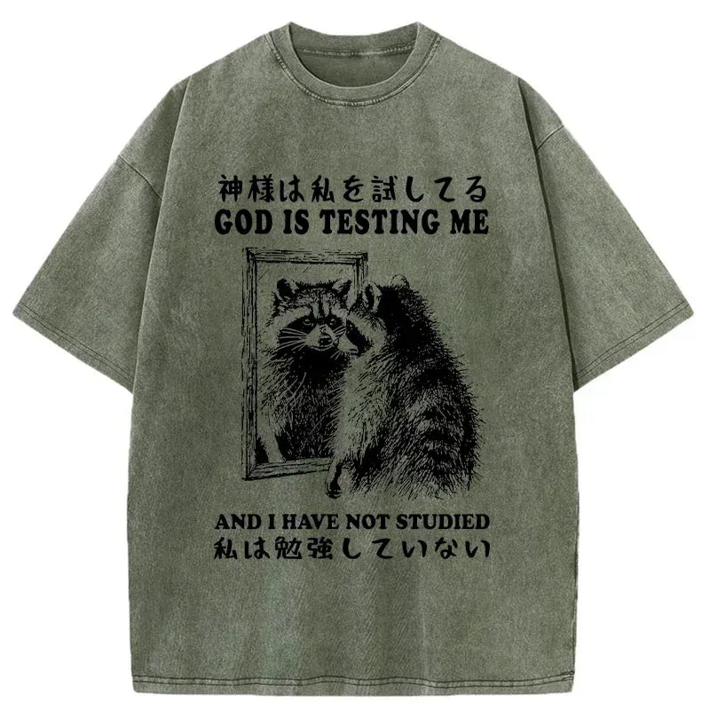 Raccoon Washed Japanese T-Shirt for Summer