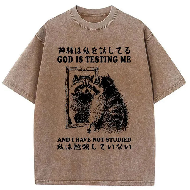 Raccoon Washed Japanese T-Shirt for Summer