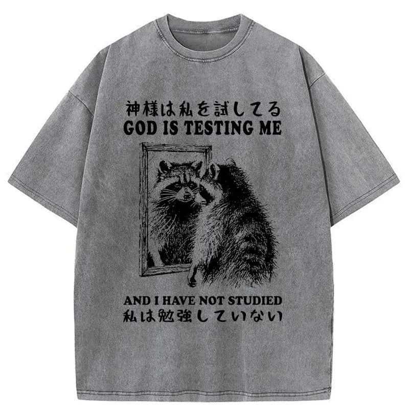 Kyoto Lion Unisex T-Shirt on Sale
