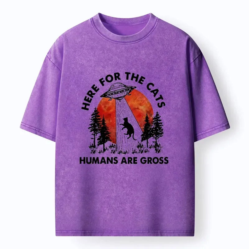 Kyoto-Lion UFO Comes Only For Cute Cats Washed T-Shirt