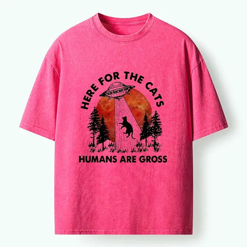 Kyoto-Lion UFO Comes Only For Cute Cats Washed T-Shirt