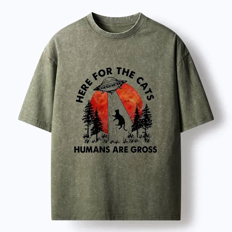 Kyoto-Lion UFO Comes Only For Cute Cats Washed T-Shirt