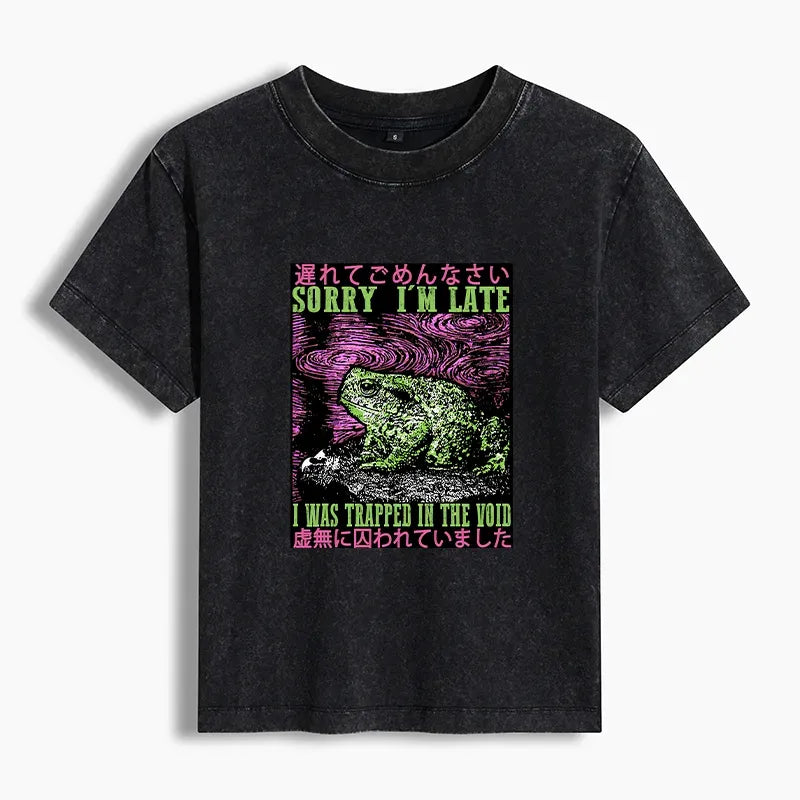 Kyoto Lion Washed Tee for Streetwear Style