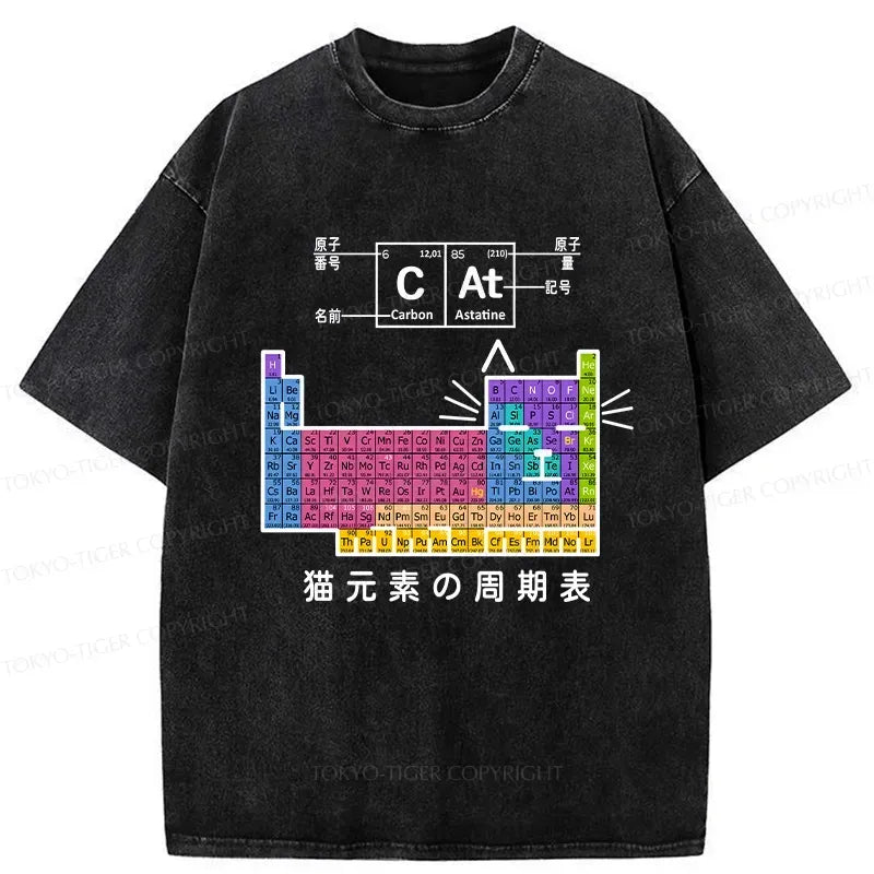 Kyoto lion cat washed tee gift