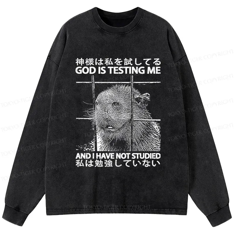 Kyoto Lion God Washed Long Sleeve T-Shirt