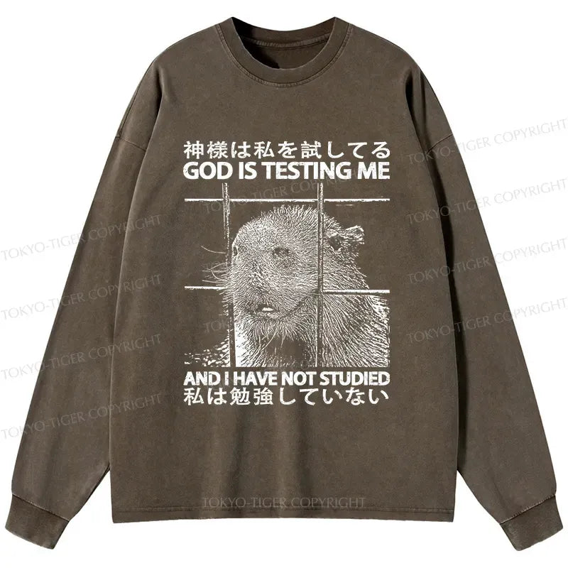 Kyoto Lion God Washed Long Sleeve T-Shirt