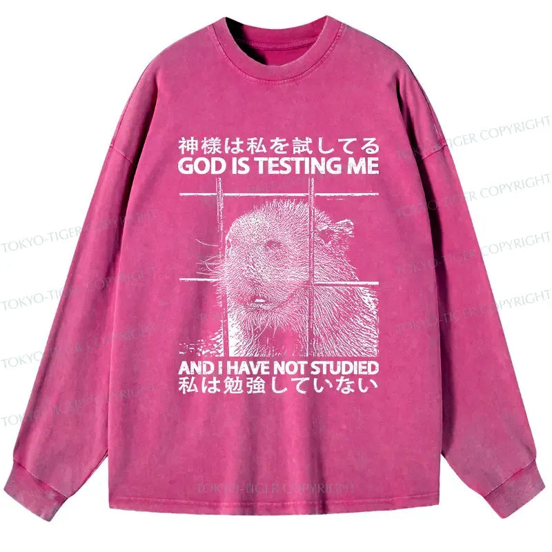 Kyoto Lion God Washed Long Sleeve T-Shirt