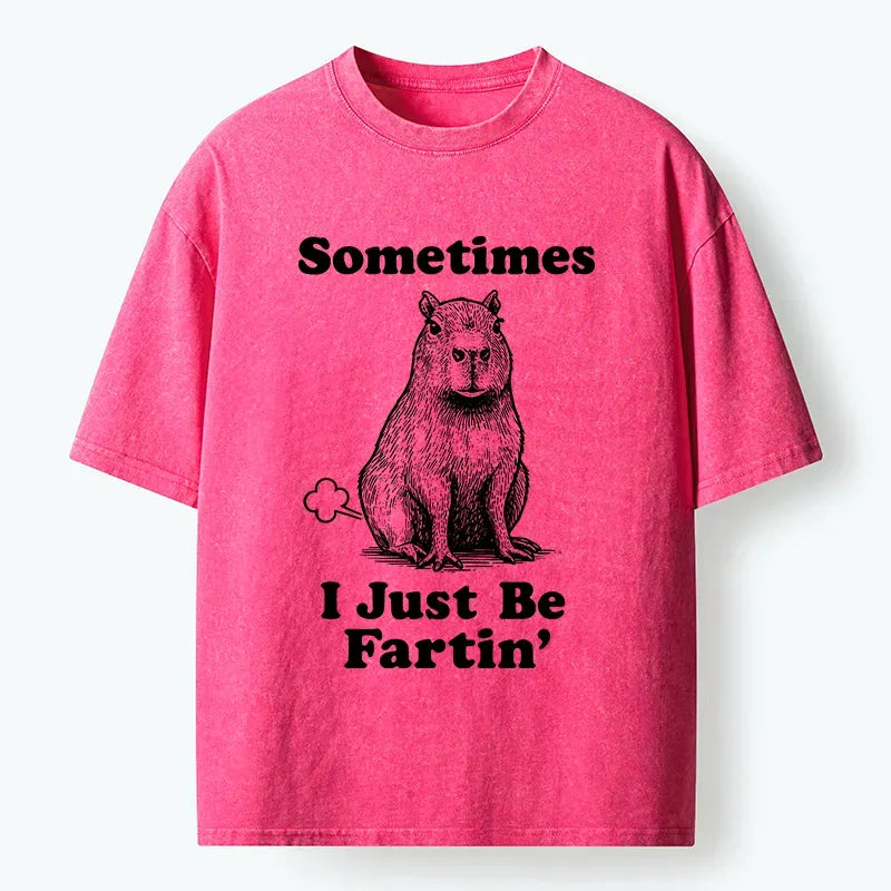 Kyoto-Lion Farting Capybaras Washed T-Shirt