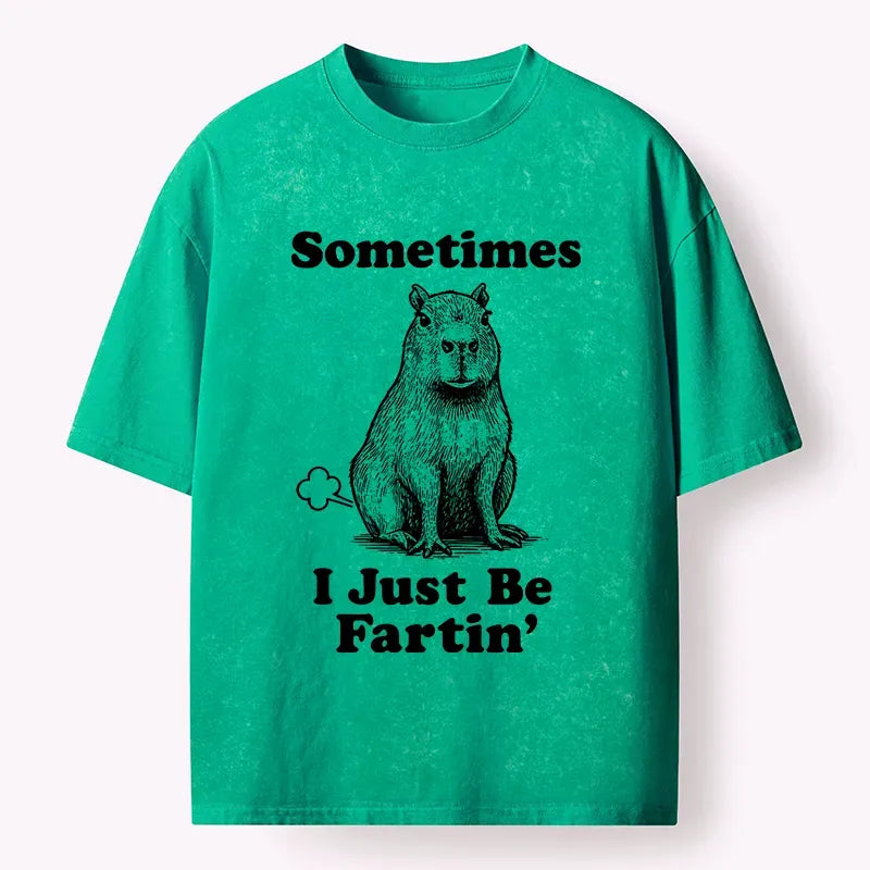 Funny Capybara Washed T-Shirt for Gift