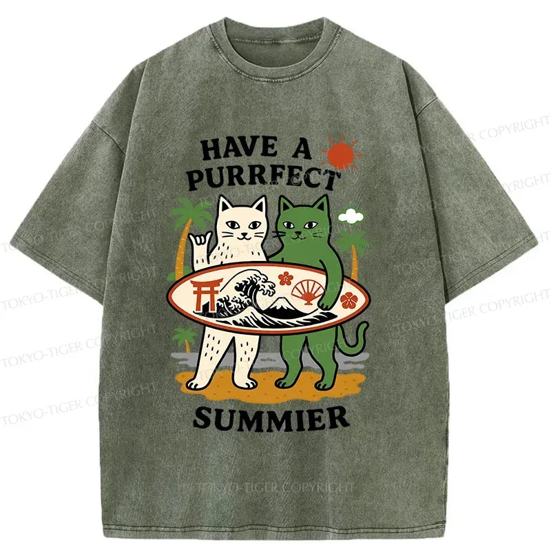 Kyoto-Lion Beach Surfing Cat Washed T-Shirt