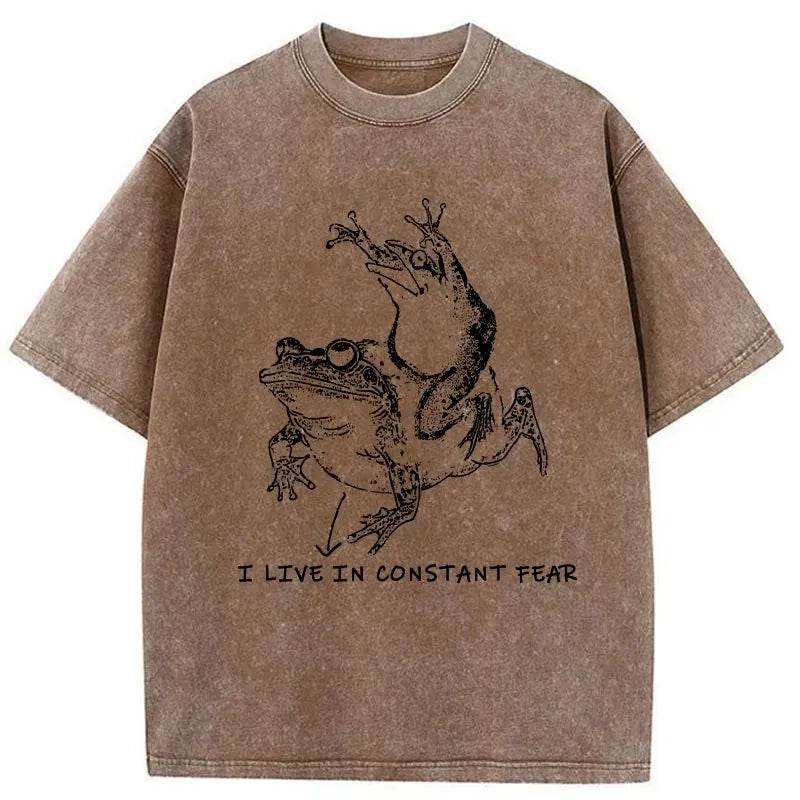 Kyoto-Lion washed t-shirt for daily wear