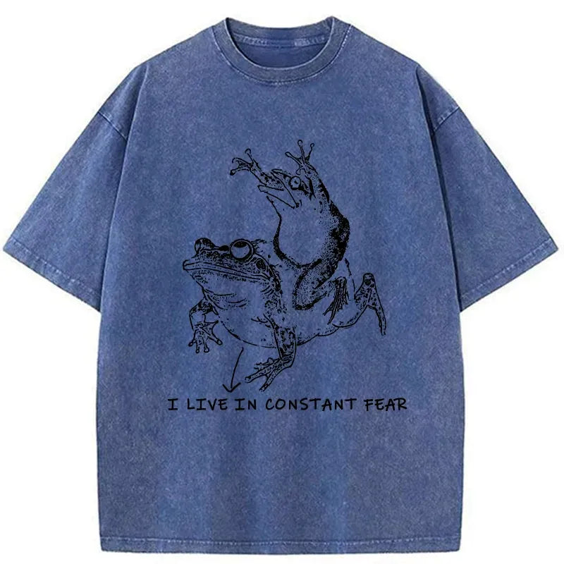 Kyoto-Lion washed t-shirt for daily wear