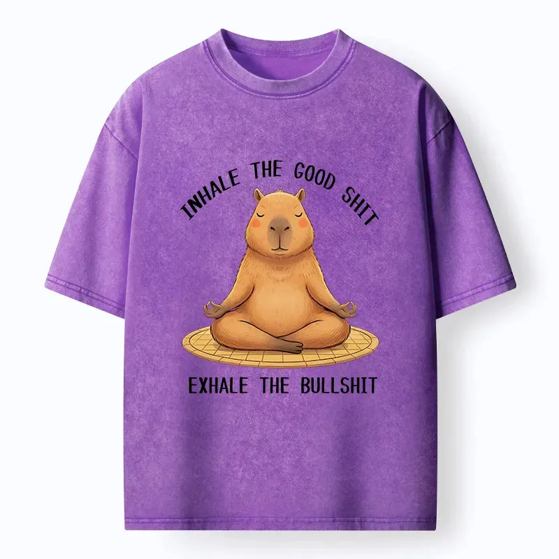 Kyoto-Lion Zen Breathing Washed T-Shirt