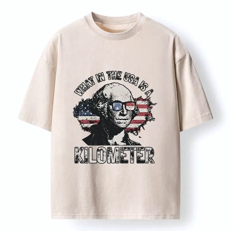 Kyoto-Lion Patriotic Flag Lens Washington Humor Design Washed T-Shirt