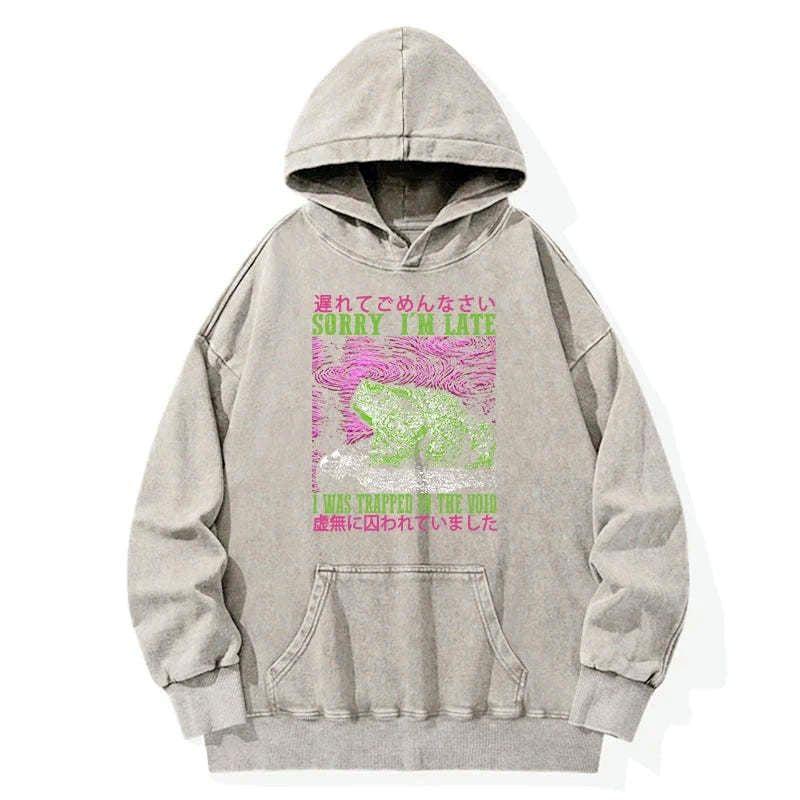 Japanese Washed Hoodie Limited Edition Streetwear