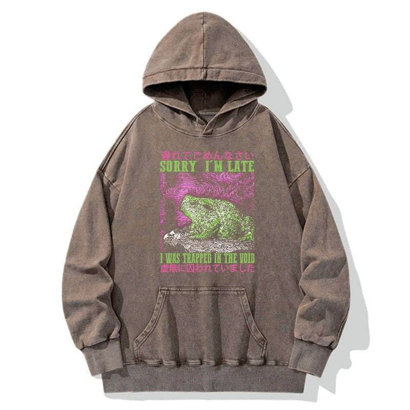 Kyoto-Lion A Frog In Distress Japanese Washed Hoodie