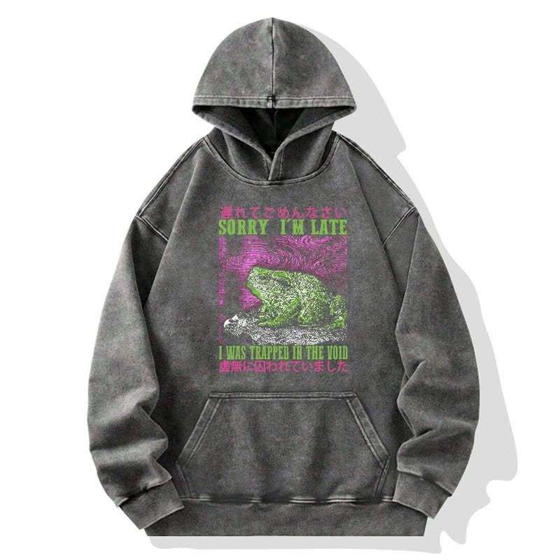 Kyoto-Lion Frog in Distress Hoodie Best Seller