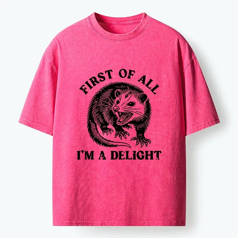 Kyoto-Lion Delight Possum Meme Washed T-Shirt