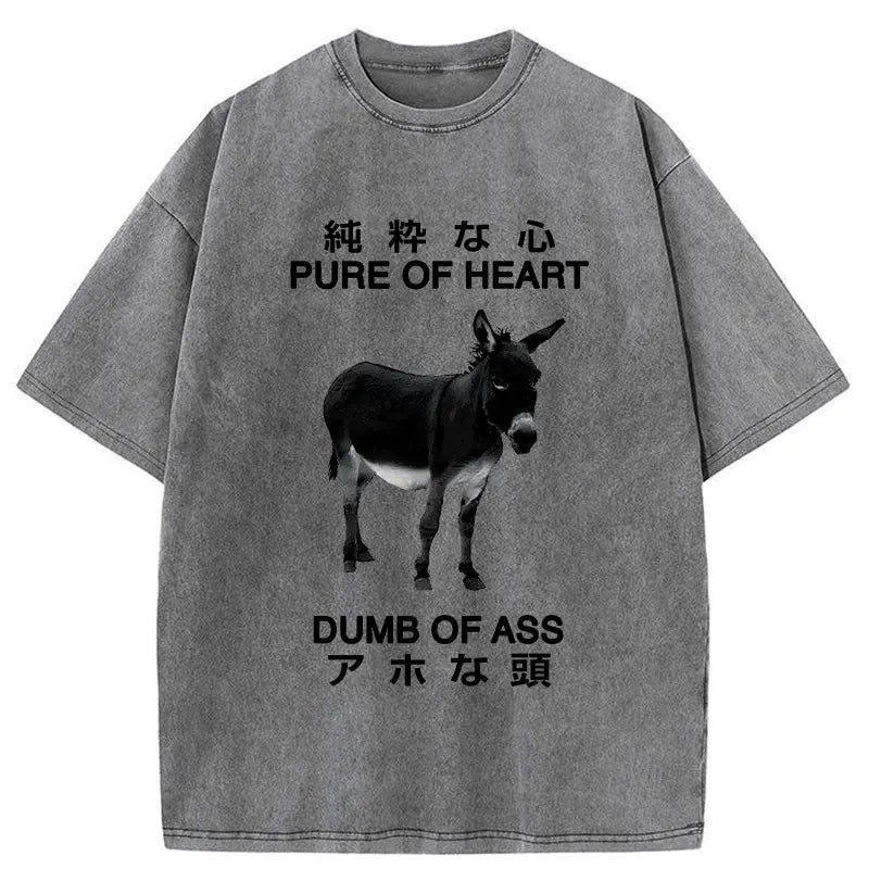 Kyoto-Lion Pure Of Heart Dumb Of Ass Washed T-Shirt