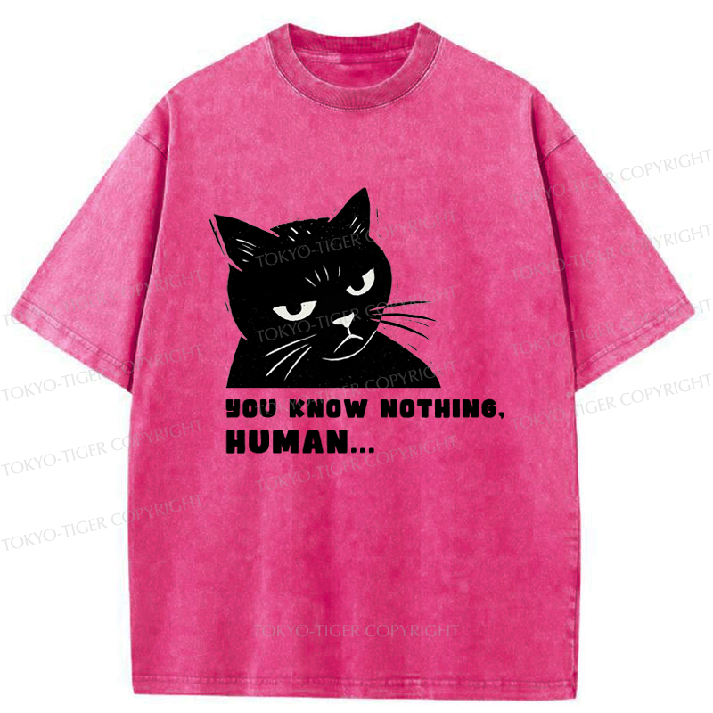 funny Kyoto lion shirt for streetwear
