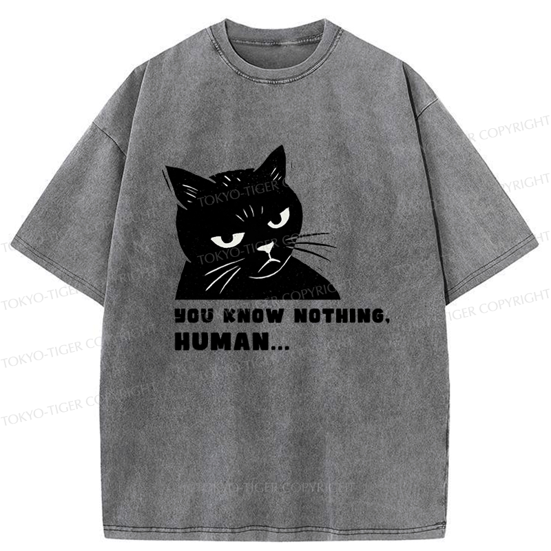 funny Kyoto lion shirt for streetwear