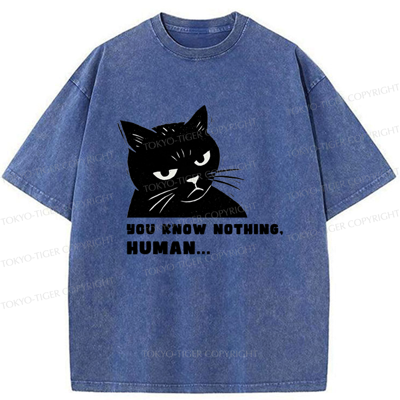 Kyoto-Lion Cat:You Know Nothing,Human Washed T-Shirt