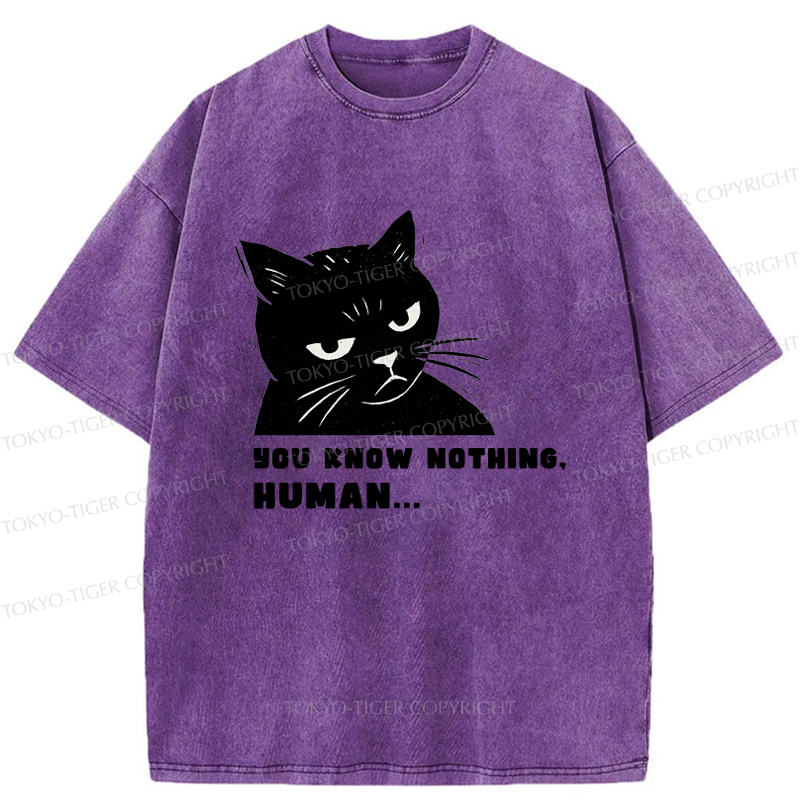 Kyoto-Lion Cat:You Know Nothing,Human Washed T-Shirt