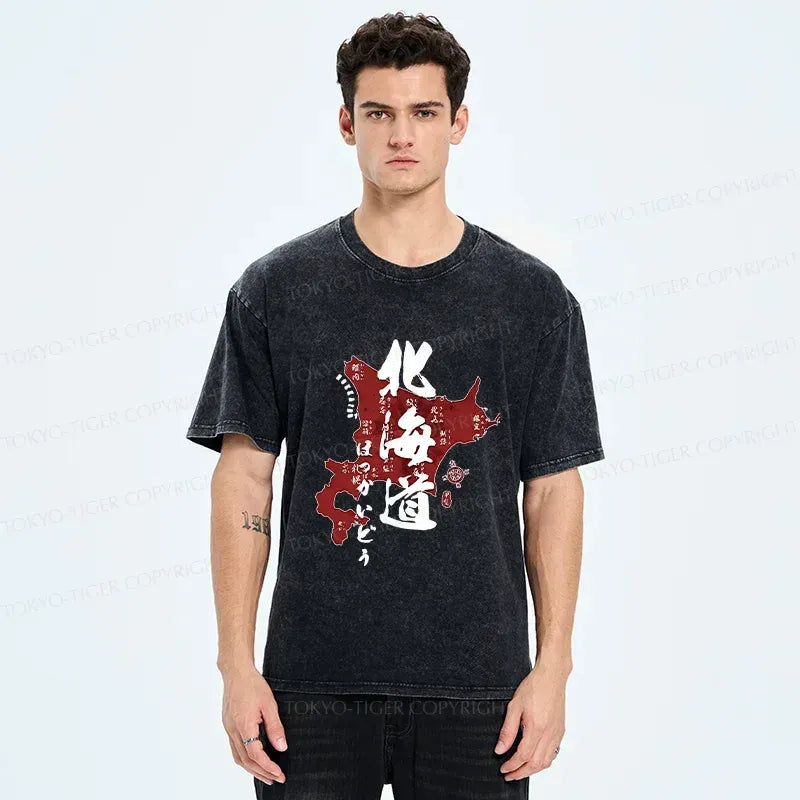 Kyoto lion retro tee streetwear for men